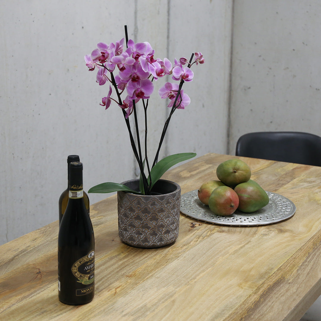 Mangoholz Tisch "The Star Table 200"